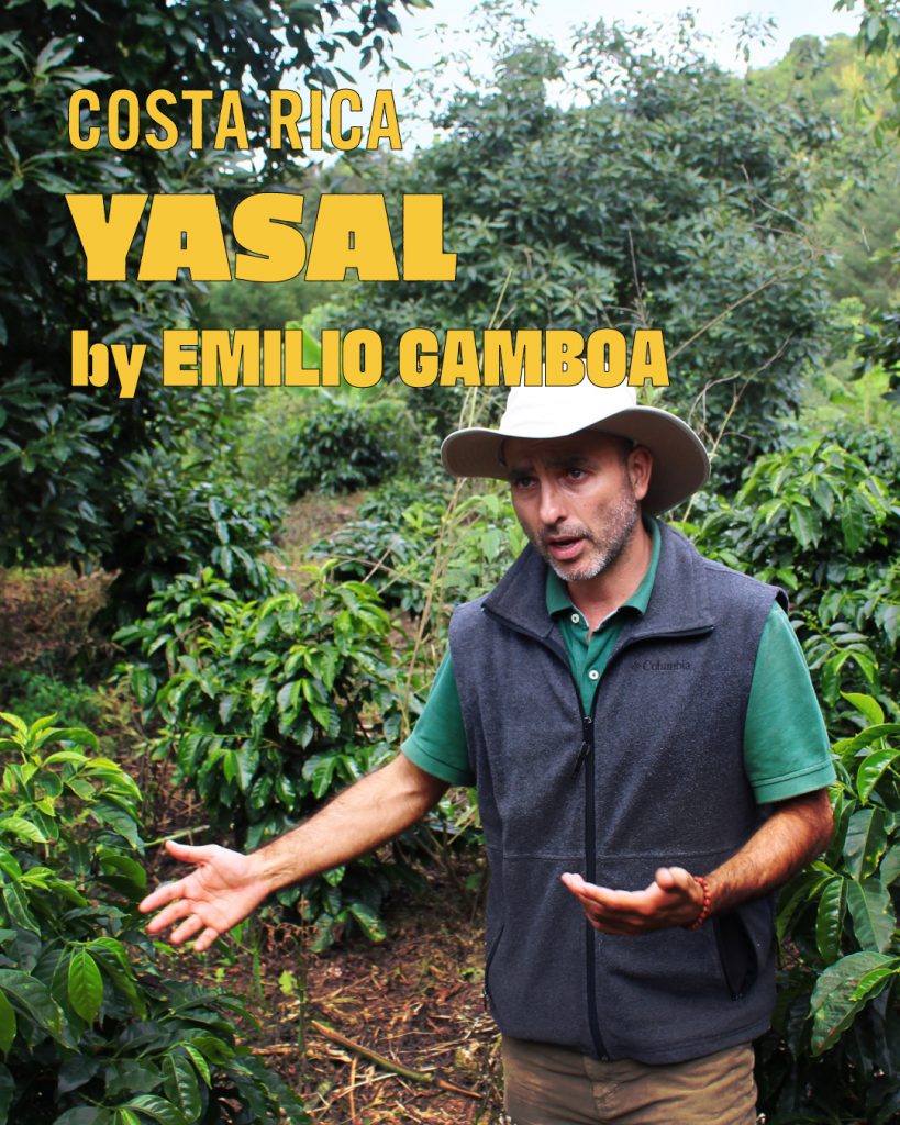 コスタリカ　ジャサル農地