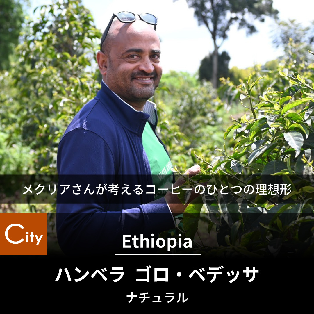 エチオピア　ゴロ・ベデッサ　ナチュラル