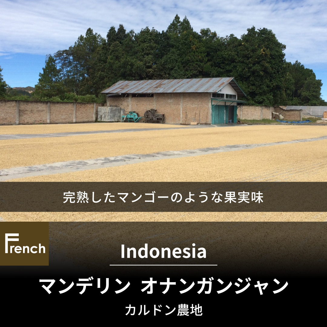 インドネシア　マンデリン　オナンガンジャン　カルドン農地