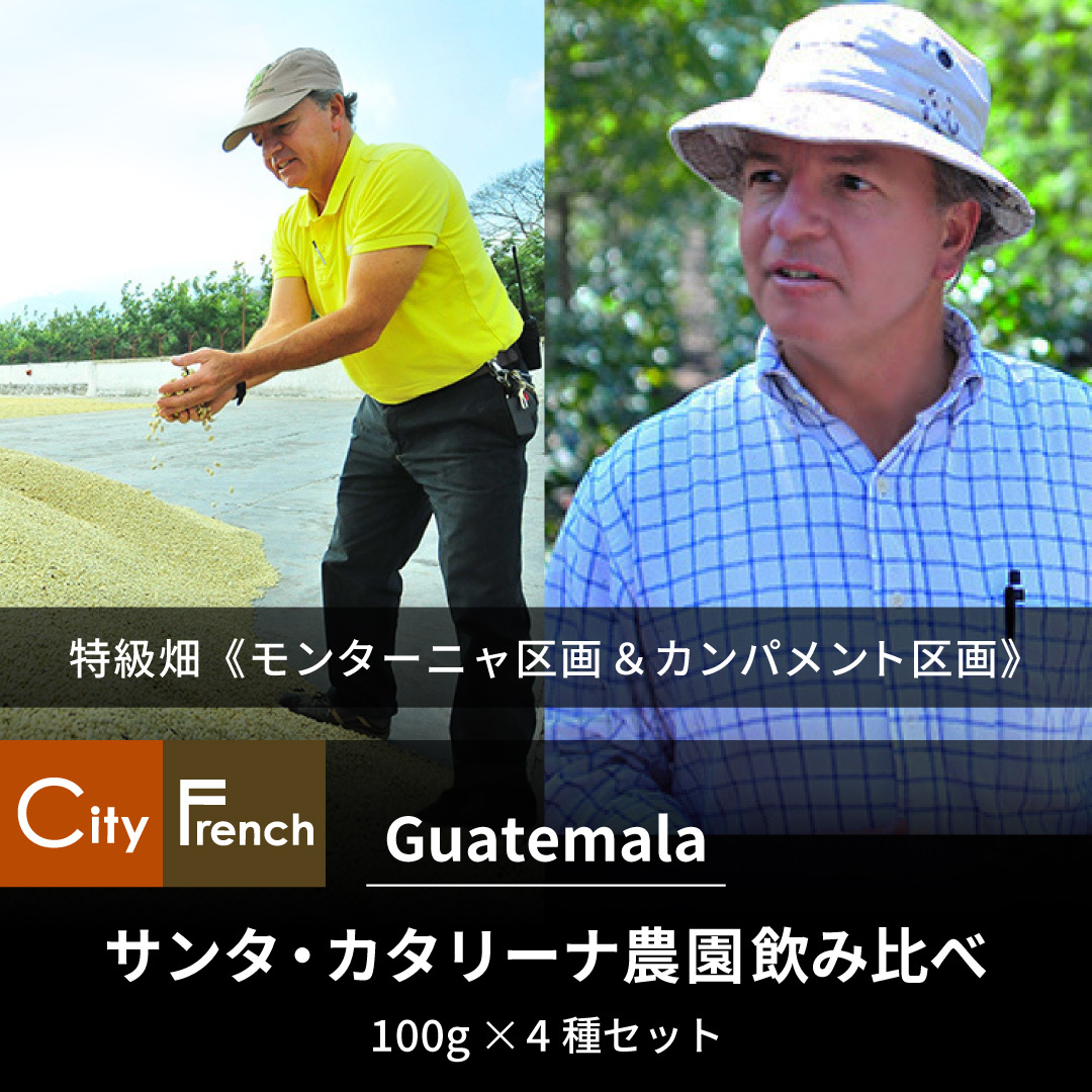 グァテマラ　サンタ・カタリーナ農園2つの特級畑セット
