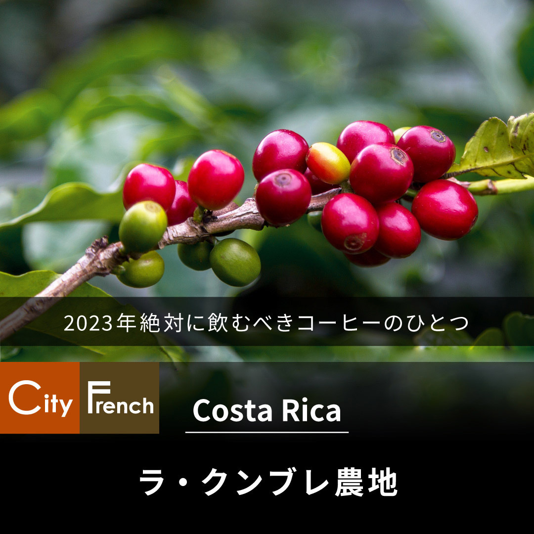 コスタリカ　ラ・クンブレ